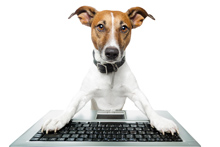 Improving Your Website Conversion Rate