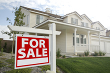 Website Should You Own or Rent
